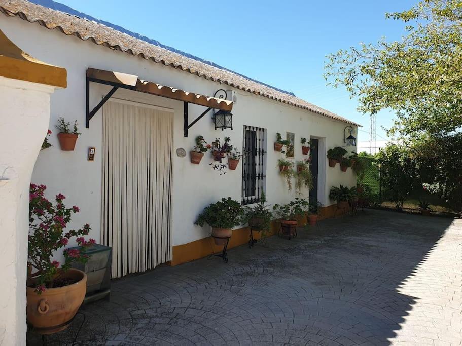 Finca El Romero, Finca A 15 Minutos De Sevilla Alcala del Rio Exterior photo