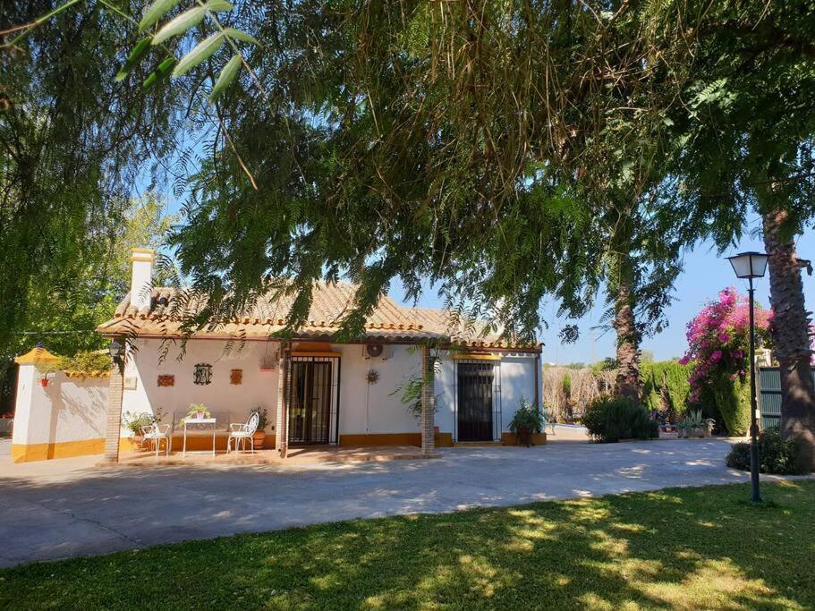 Finca El Romero, Finca A 15 Minutos De Sevilla Alcala del Rio Exterior photo